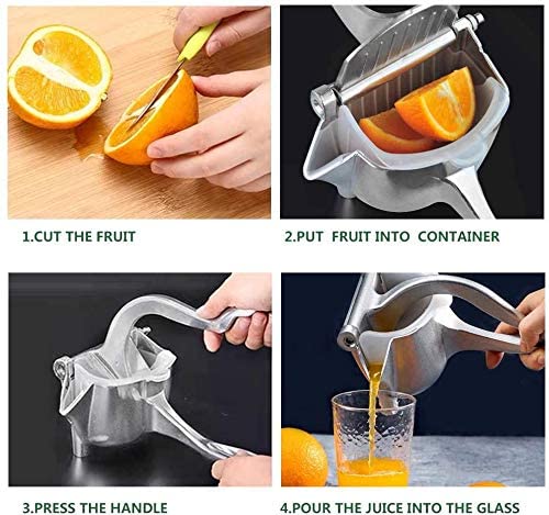 Manual Fruit Press