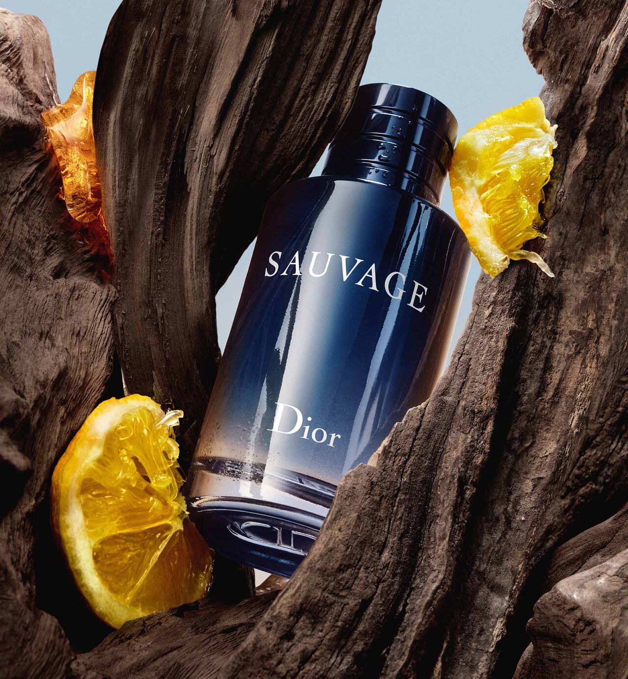 Dior Sauvage Eau De Perfume | Long Lasting Fragrance )100ml